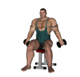 Anterior Raise - Seated Upright Dumbbell Forward